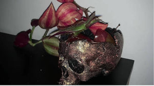 Rose Gold Small Skull Pot Plant Holder