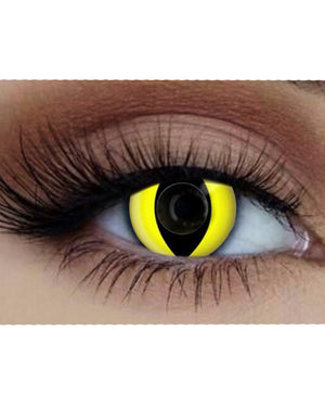 Yellow Cat 14mm Black and Yellow Contact Lenses with Case